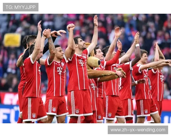 深度解析德甲每一支球队 战力结构一目了然