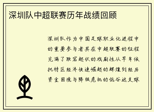 深圳队中超联赛历年战绩回顾